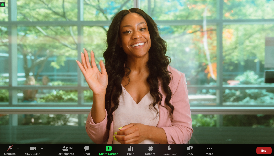 Original video recording